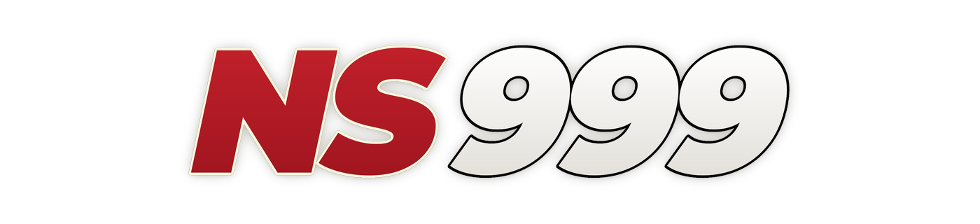 ns999 logo